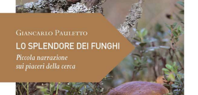 La Guida - Andar per funghi