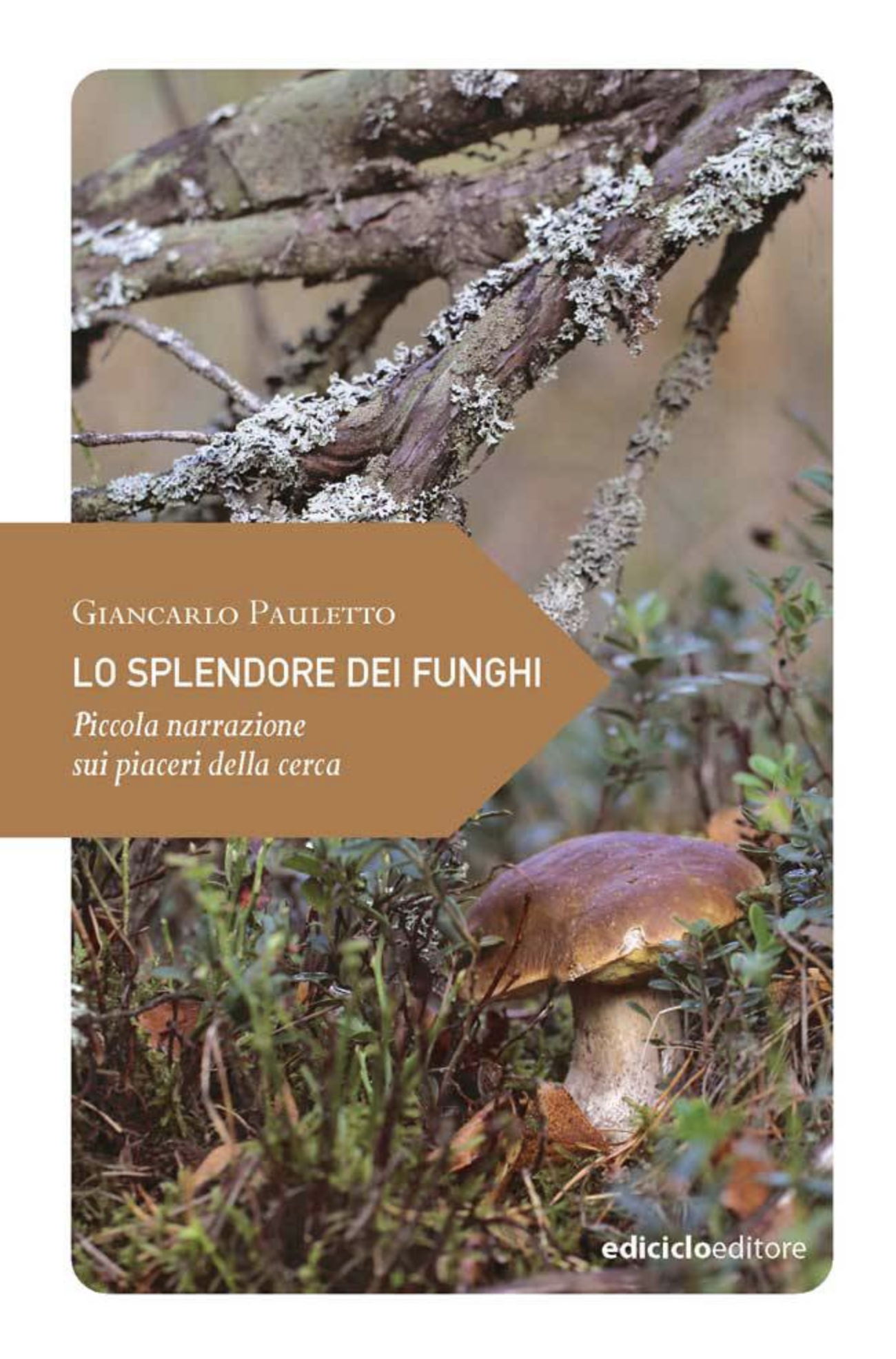 La Guida - Andar per funghi