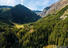 La Guida - Le aree forestali della Valle Stura ottengono la certificazione di Gestione forestale sostenibile