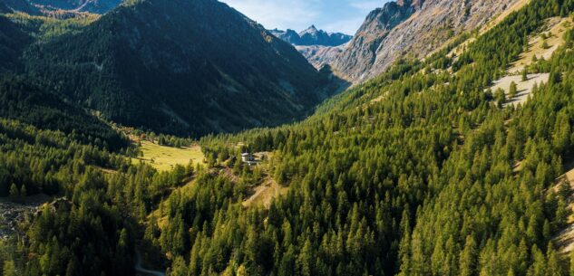 La Guida - Le aree forestali della Valle Stura ottengono la certificazione di Gestione forestale sostenibile