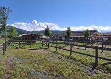 La Guida - A Boves arriva la Festa di primavera