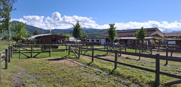 A Boves arriva la Festa di primavera La Guida - A Boves arriva la Festa di primavera