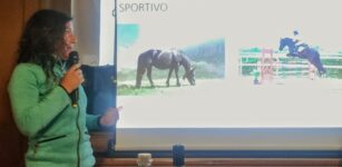 La Guida - Mérens, un cavallo sportivo per tutte le specialità