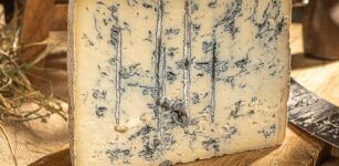 La Guida - Melaverde fa tappa a Savigliano