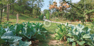 La Guida - La storia del Parco Fluviale Gesso e Stura
