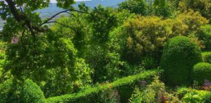 Alla scoperta del giardino dell’architetto Pejrone La Guida - Alla scoperta del giardino dell’architetto Pejrone