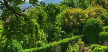 La Guida - Alla scoperta del giardino dell’architetto Pejrone