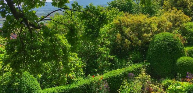 La Guida - Alla scoperta del giardino dell’architetto Pejrone
