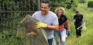 La Guida - Soccorso a Sampeyre un avvoltoio monaco, il più grande rapace europeo