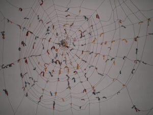Ragnatele interattive- Astrid Frremin