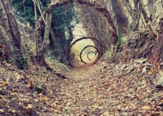 La Guida - Monterosso Grana, un percorso tra gusto e natura sul sentiero del Sarvanot