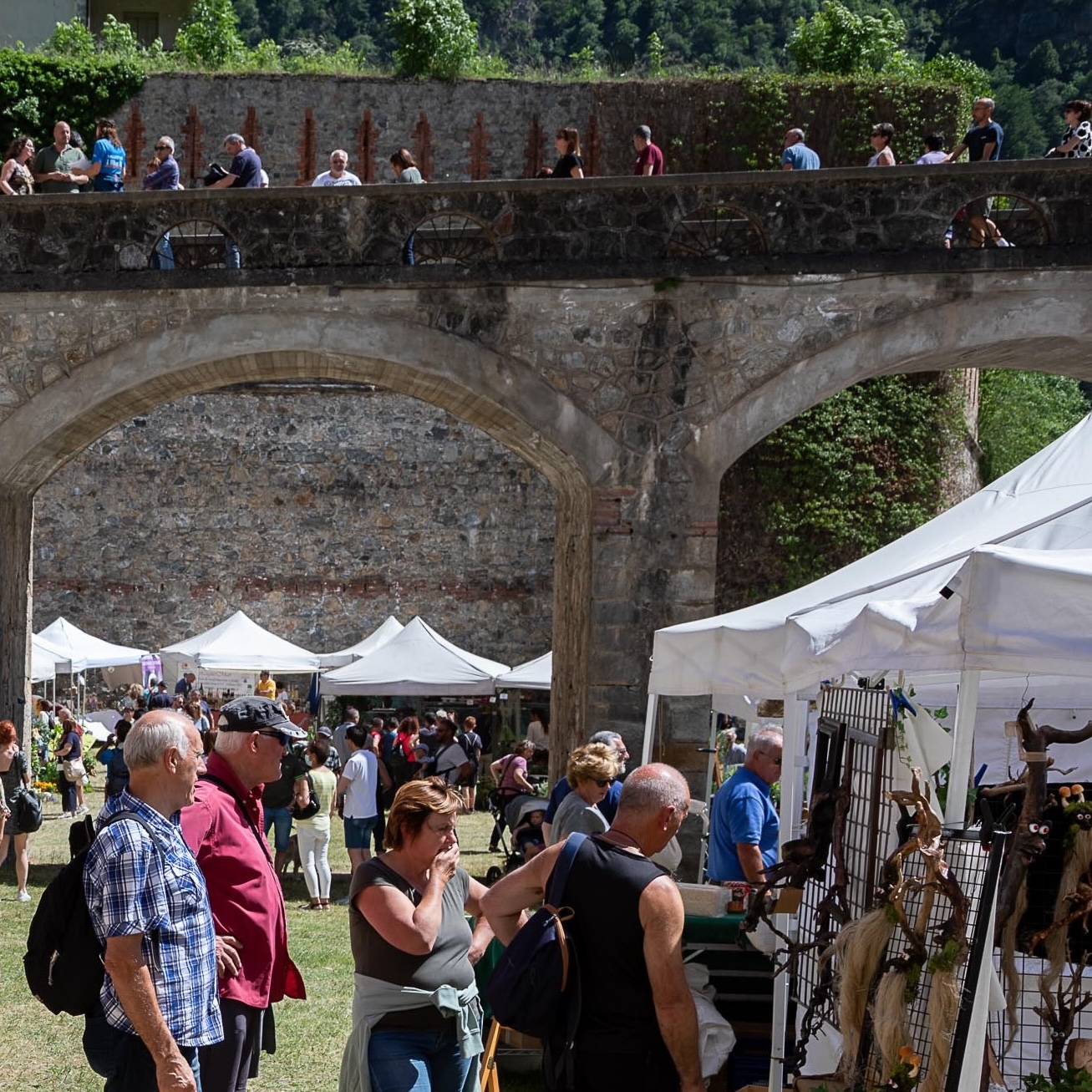 Forte in fiore a Vinadio