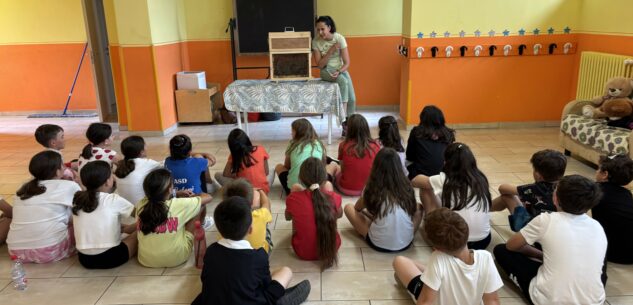 La Guida - Il Comune di Rifreddo partecipa al progetto “+Api – Oasi fiorite per la biodiversità”