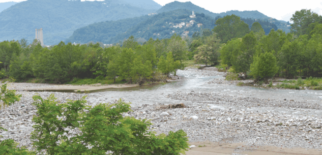 La Guida - Le rive del torrente Gesso
