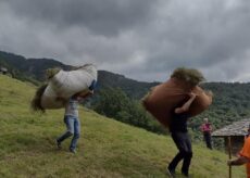 La Guida - Al rifugio Baudinet torna la festa della fienagione