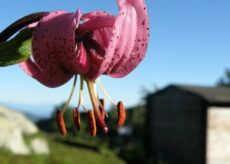 La Guida - Riapre il giardino botanico “Valderia”