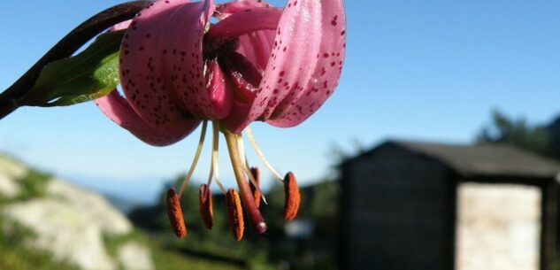 La Guida - Riapre il giardino botanico “Valderia”