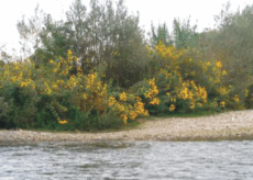 La Guida - Preoccupazioni e interventi per contenere le esondazioni dello Stura