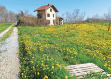 La Guida - La storia dei Sagnassi, un autentico gioiello naturalistico centallese