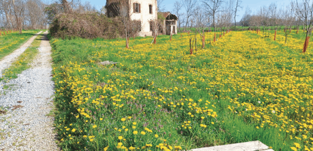 La Guida - La storia dei Sagnassi, un autentico gioiello naturalistico centallese
