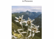 La Guida - Siciliana partigiana in Piemonte