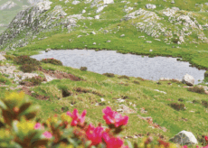 La Guida - Il lago effimero Biecai a monte del rifugio Mondovì