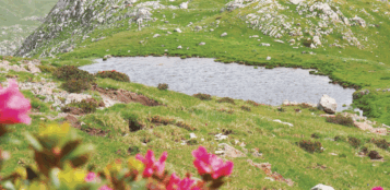La Guida - Il lago effimero Biecai a monte del rifugio Mondovì
