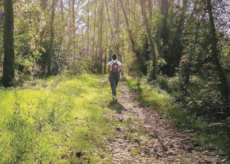 La Guida - Il sentiero che corre a lato del Maira unisce Villar San Costanzo e Racconigi