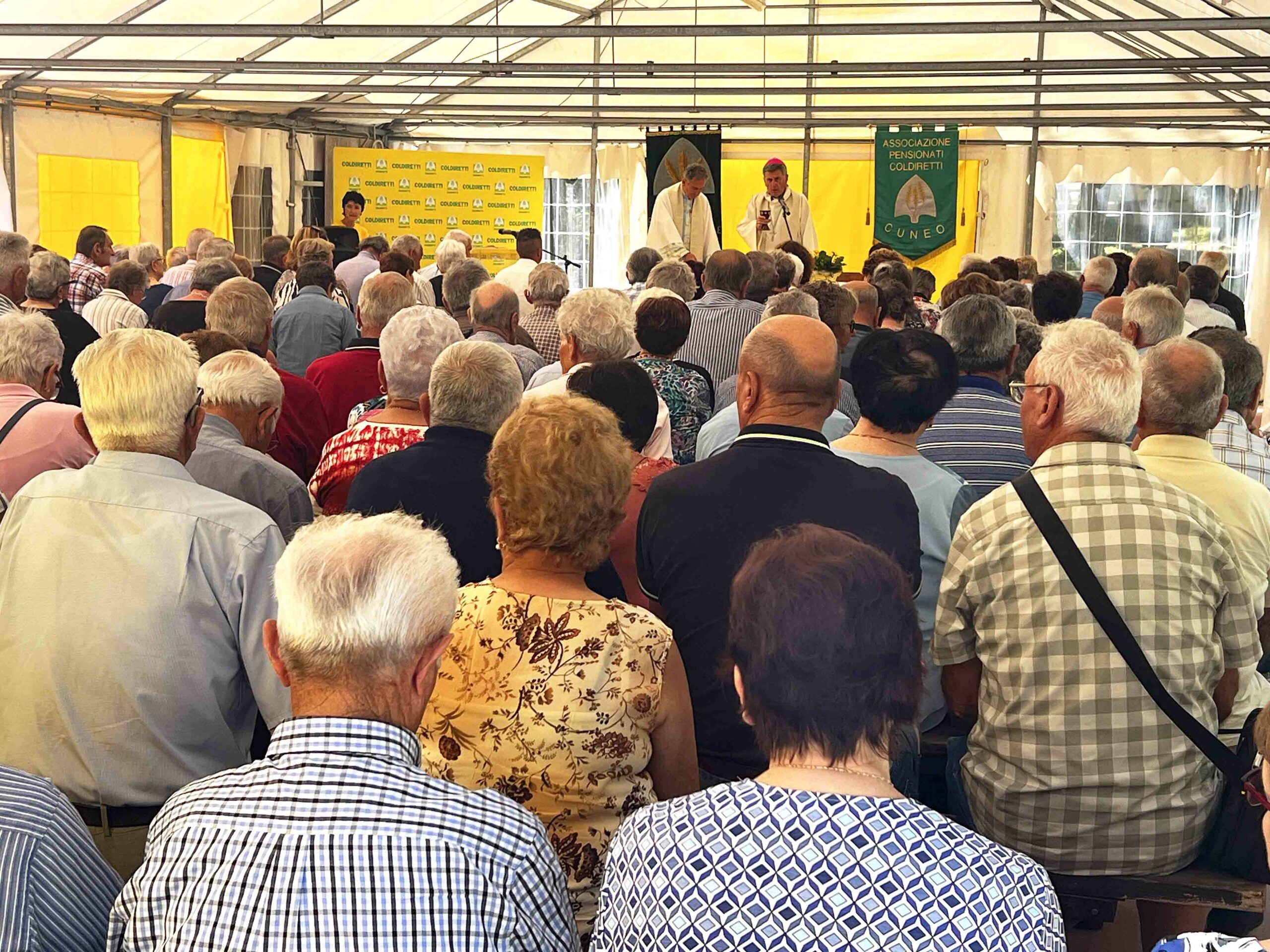 Over 70, esperti essenziali: lavorano in un’azienda agricola su tre