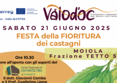 La Guida - Sabato 21 giugno la festa della fioritura dei castagni