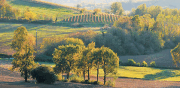 La Guida - La collina di Saluzzo tra vigne storiche, frutteti e dimore signorili