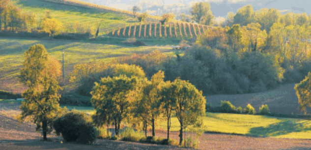 La Guida - La collina di Saluzzo tra vigne storiche, frutteti e dimore signorili