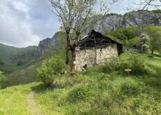 La Guida - Tra i vigneti in fiore a Monforte d’Alba e una gita al panoramico Monte Sapè