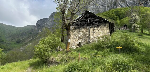 La Guida - Tra i vigneti in fiore a Monforte d’Alba e una gita al panoramico Monte Sapè