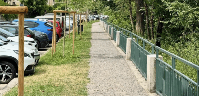 La Guida - Cuneo, conclusi i lavori in corso Solaro con 24 nuovi platani