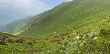 La Guida - Il sentiero delle Coccinelle Gialle, da Ceresole a Colla Piana
