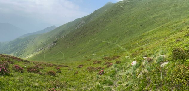 Il sentiero delle Coccinelle Gialle, da Ceresole a Colla Piana La Guida - Il sentiero delle Coccinelle Gialle, da Ceresole a Colla Piana