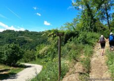 La Guida - Il “Sentiero del cuculo” e la sella del Tetto Griva