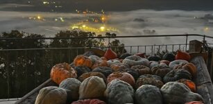 La Guida - La Fiera della zucca di Piozzo diventa “nazionale”