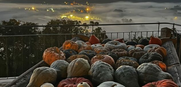 La Guida - La Fiera della zucca di Piozzo diventa “nazionale”
