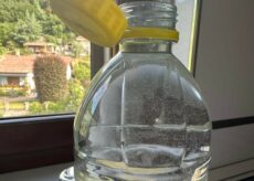 La Guida - Sanfront, quell’acqua con sedimenti biancastri