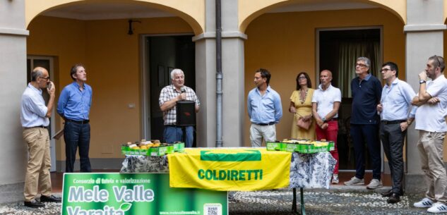 La Guida - Il Consorzio della Mela Valle Varaita guarda al futuro
