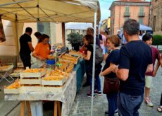 La Guida - A Costigliole Saluzzo va in scena la Sagra dell’albicocca tonda