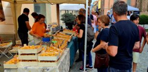 A Costigliole Saluzzo va in scena la Sagra dell’albicocca tonda La Guida - A Costigliole Saluzzo va in scena la Sagra dell’albicocca tonda