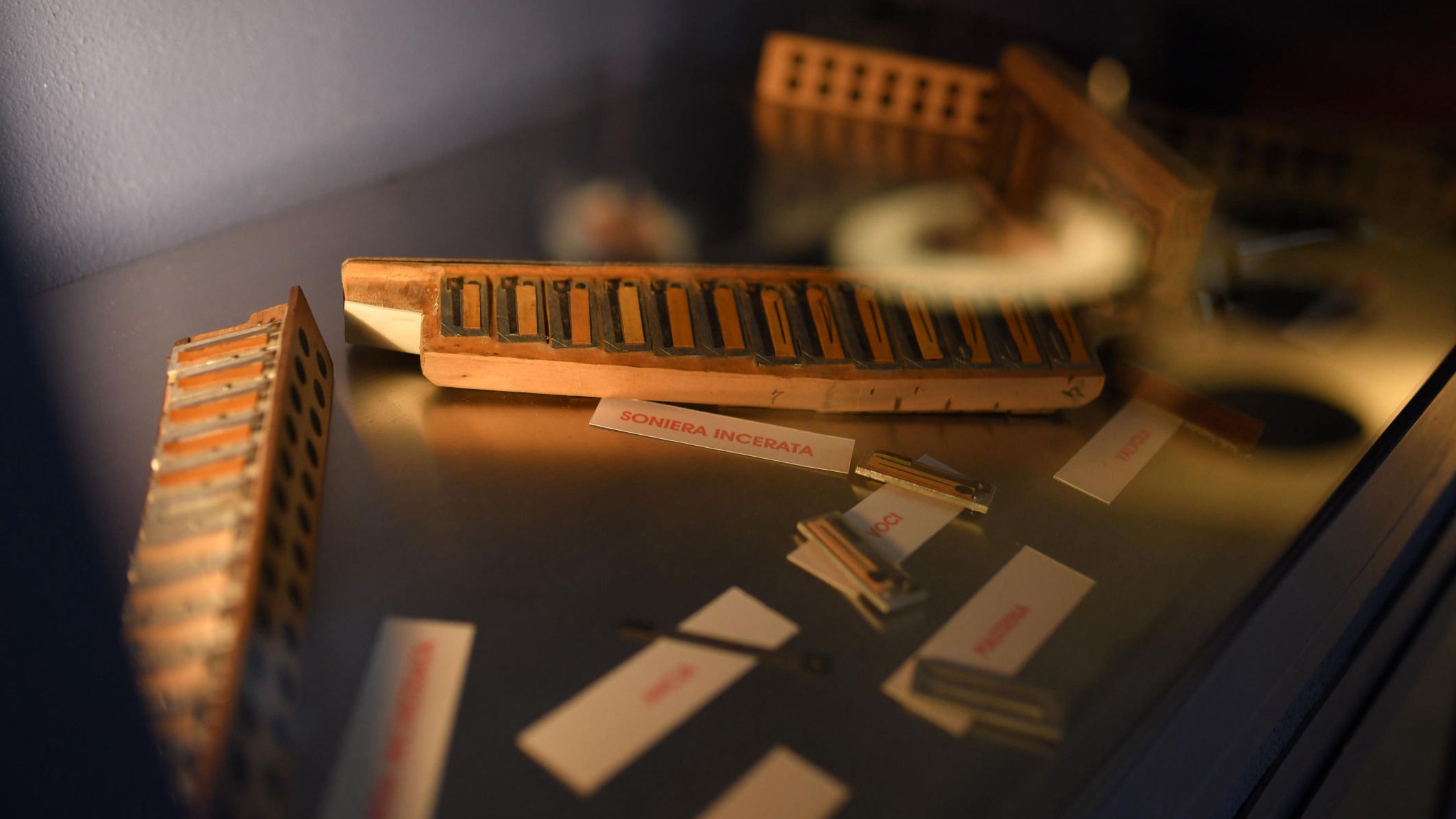 Una domenica ai musei di Robilante