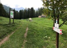 La Guida - Strage di bovini ad Oncino, in alta Valle Po