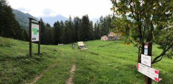 La Guida - Strage di bovini ad Oncino, in alta Valle Po