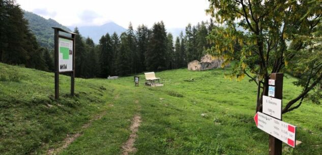 Strage di bovini ad Oncino, in alta Valle Po La Guida - Strage di bovini ad Oncino, in alta Valle Po