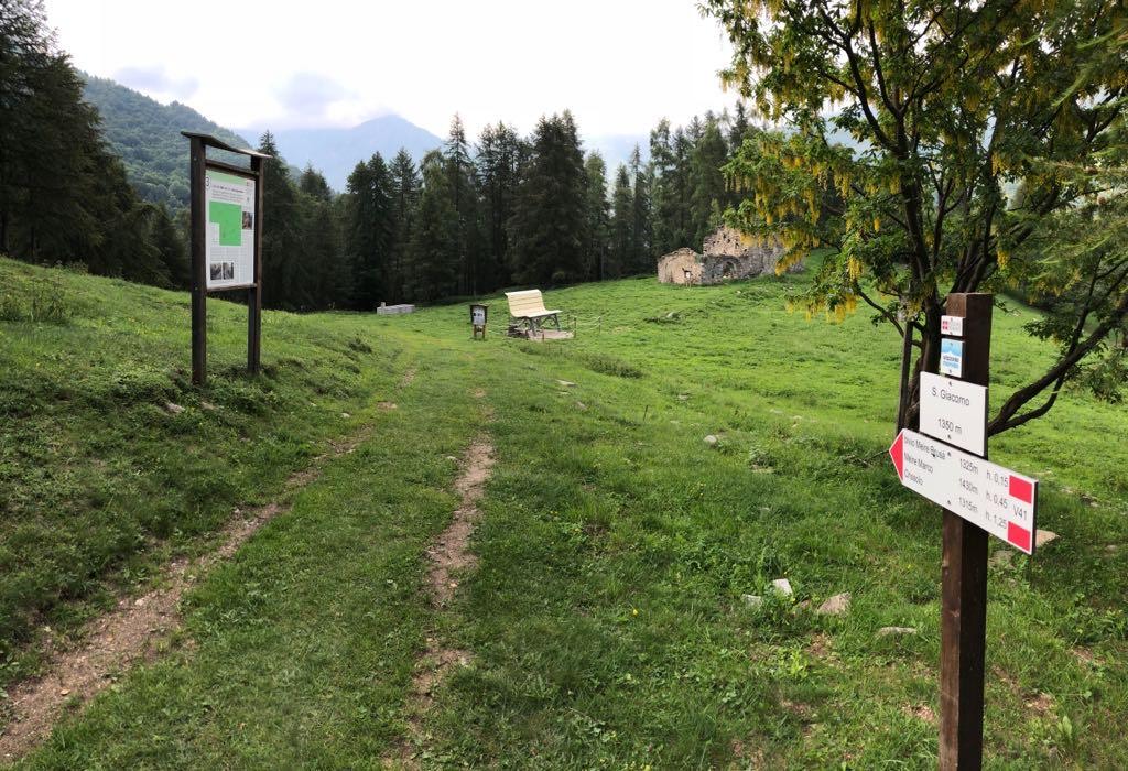 Oncino - La zona in cui è avvenuta la strage di bovini
