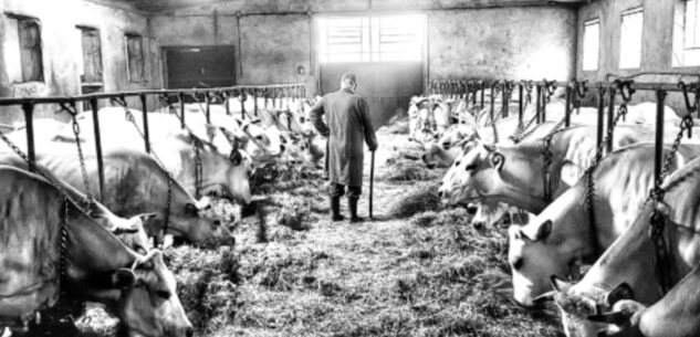 La Guida - Ritorna il concorso fotografico “La mia Piemontese”